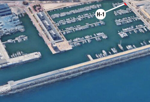 Baladona H1